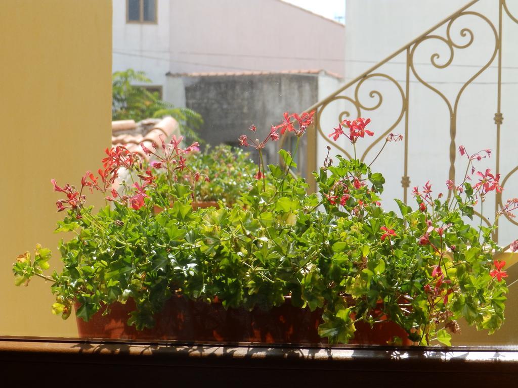 Ploaghe Sa Chessa B&B מראה חיצוני תמונה