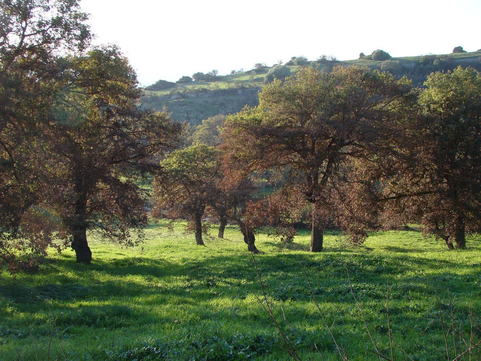 Ploaghe Sa Chessa B&B מראה חיצוני תמונה